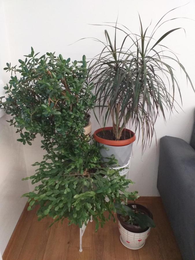 Trosoban Sarajevo, Ilidza Centar Apartman Sarajevo